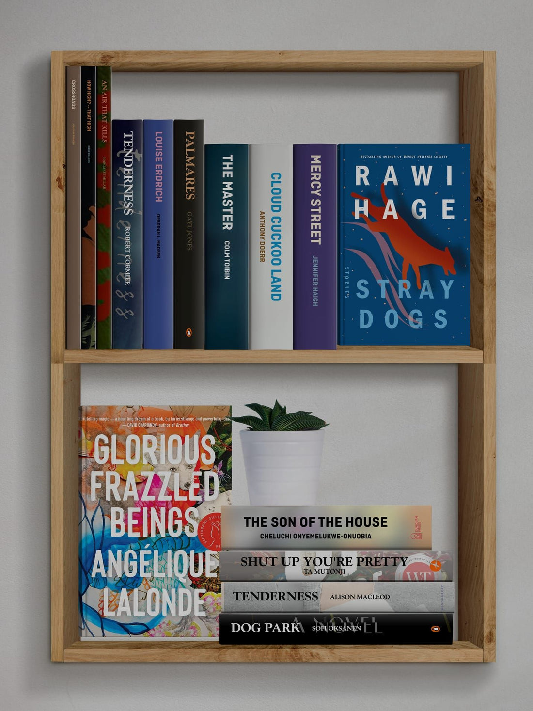 excited for this one! perfect mix of shelving ideas AND non stop reading wishlist